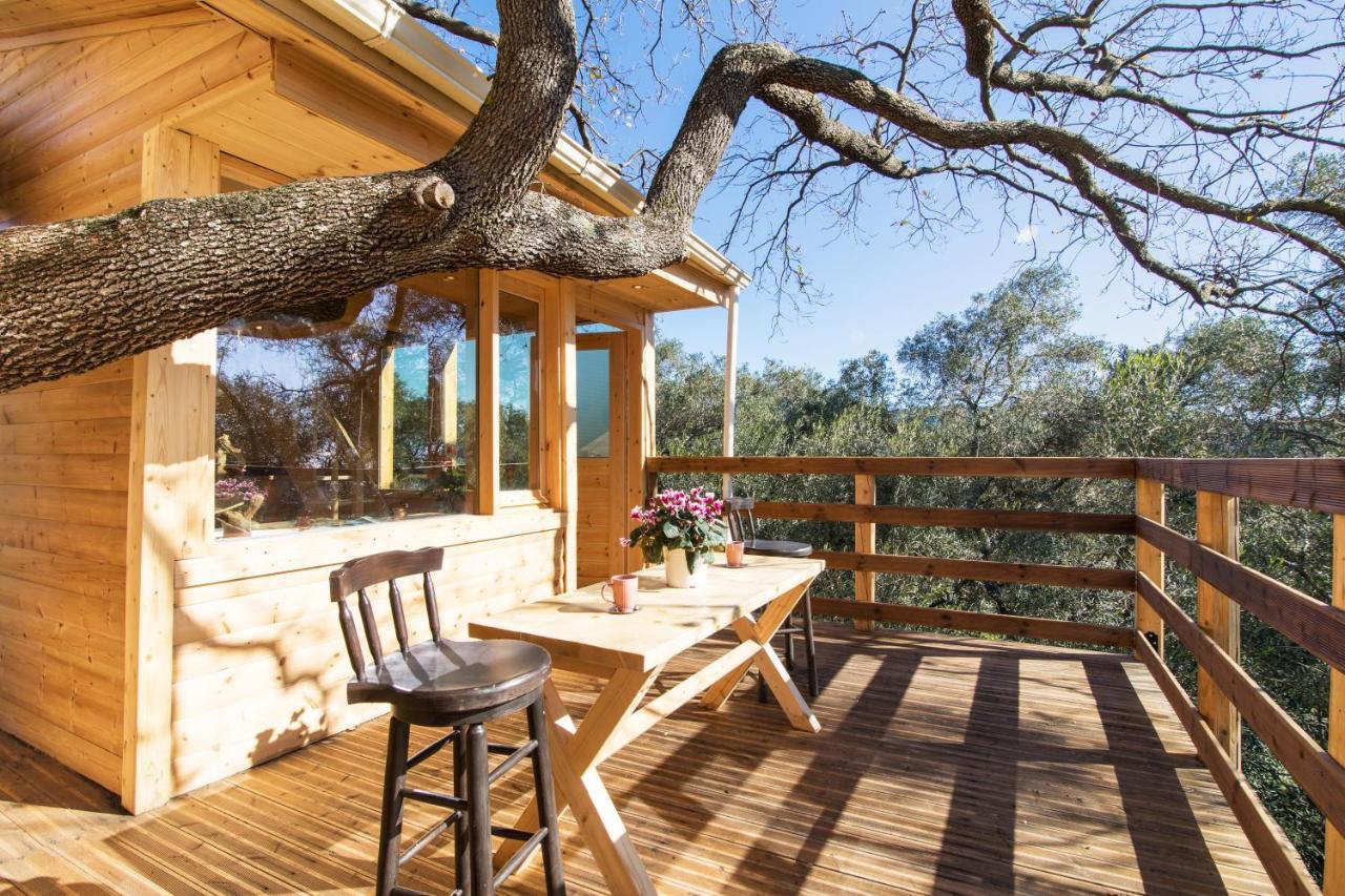 Romantic Tree House Kato Pavliana Bagian luar foto