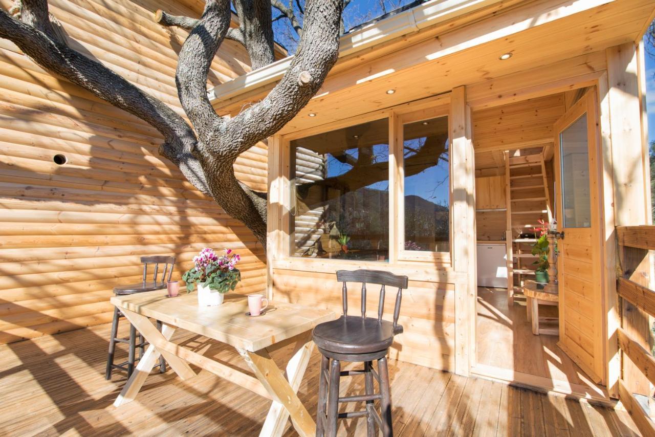 Romantic Tree House Kato Pavliana Bagian luar foto