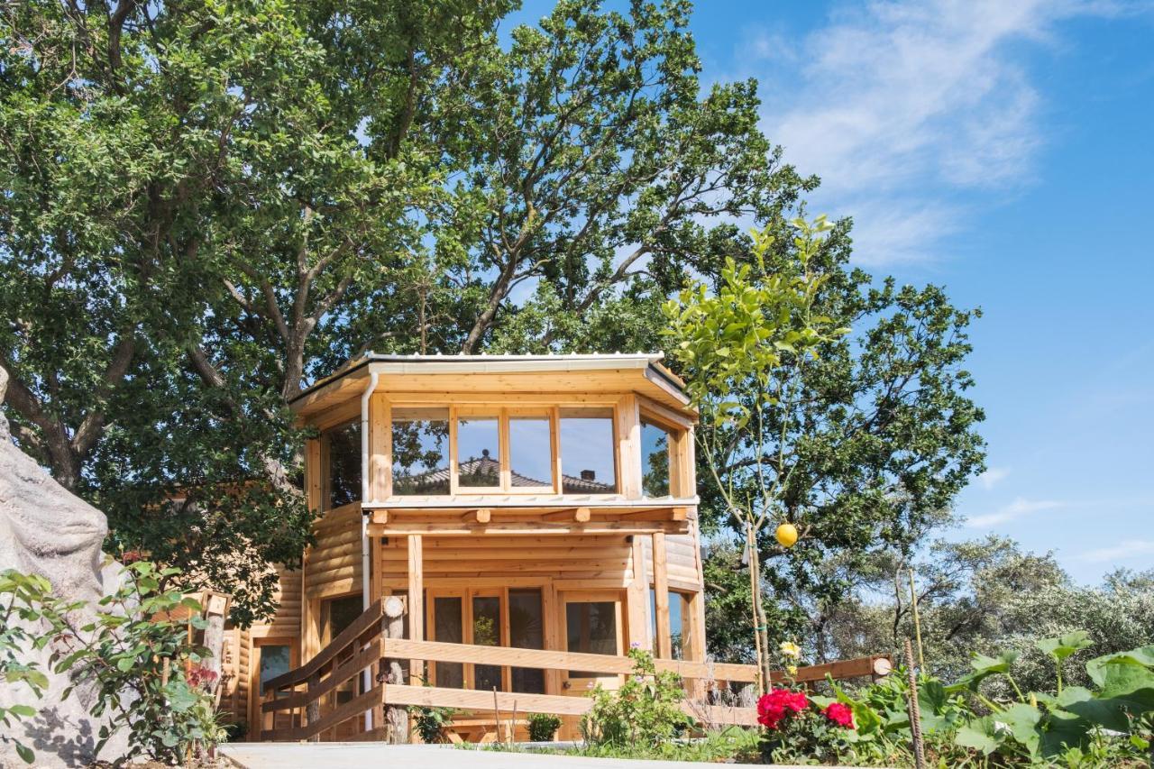Romantic Tree House Kato Pavliana Bagian luar foto