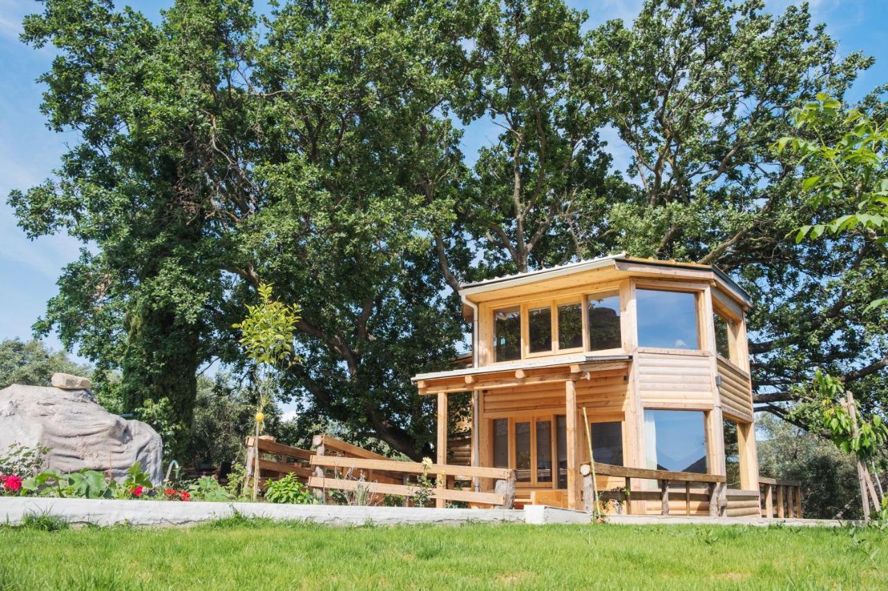 Romantic Tree House Kato Pavliana Bagian luar foto